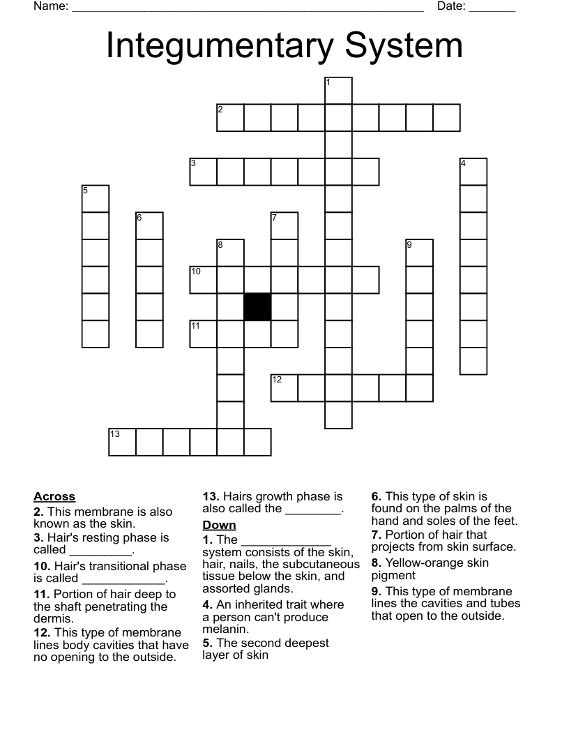 Integumentary System Crossword