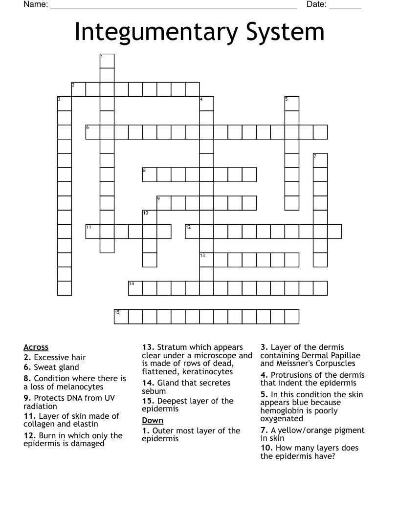 Integumentary System Crossword