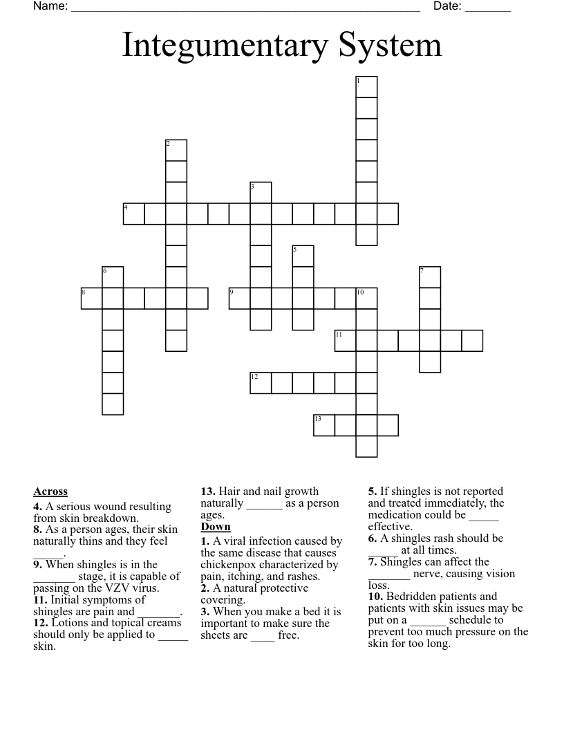 Integumentary System Crossword