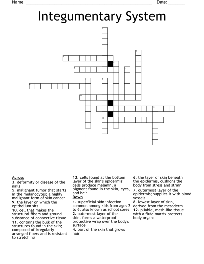 Integumentary System Crossword
