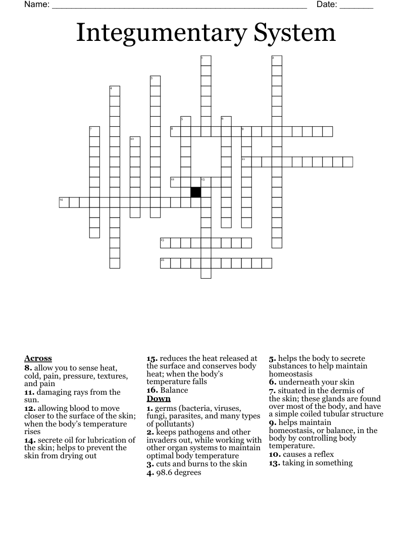 Integumentary System Crossword