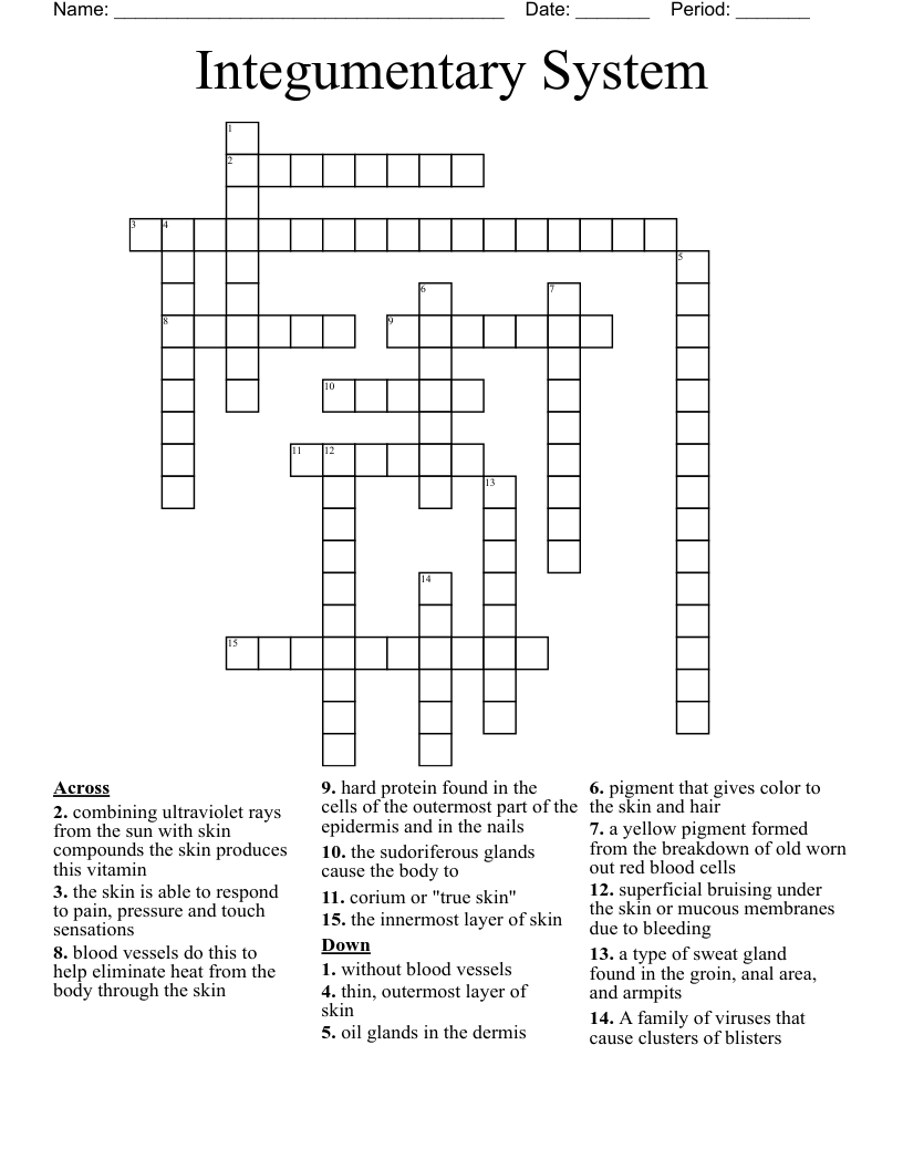 Integumentary System Crossword