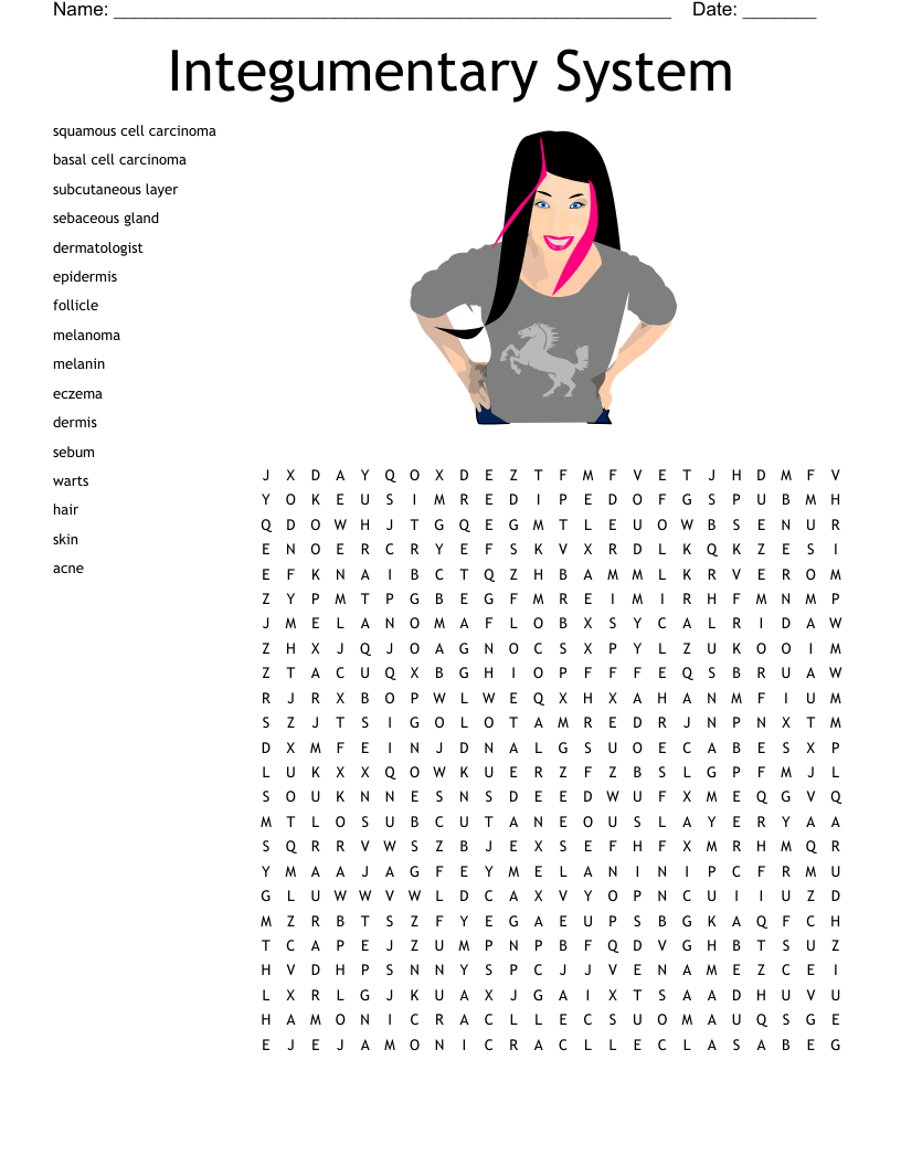 Integumentary System Word Search