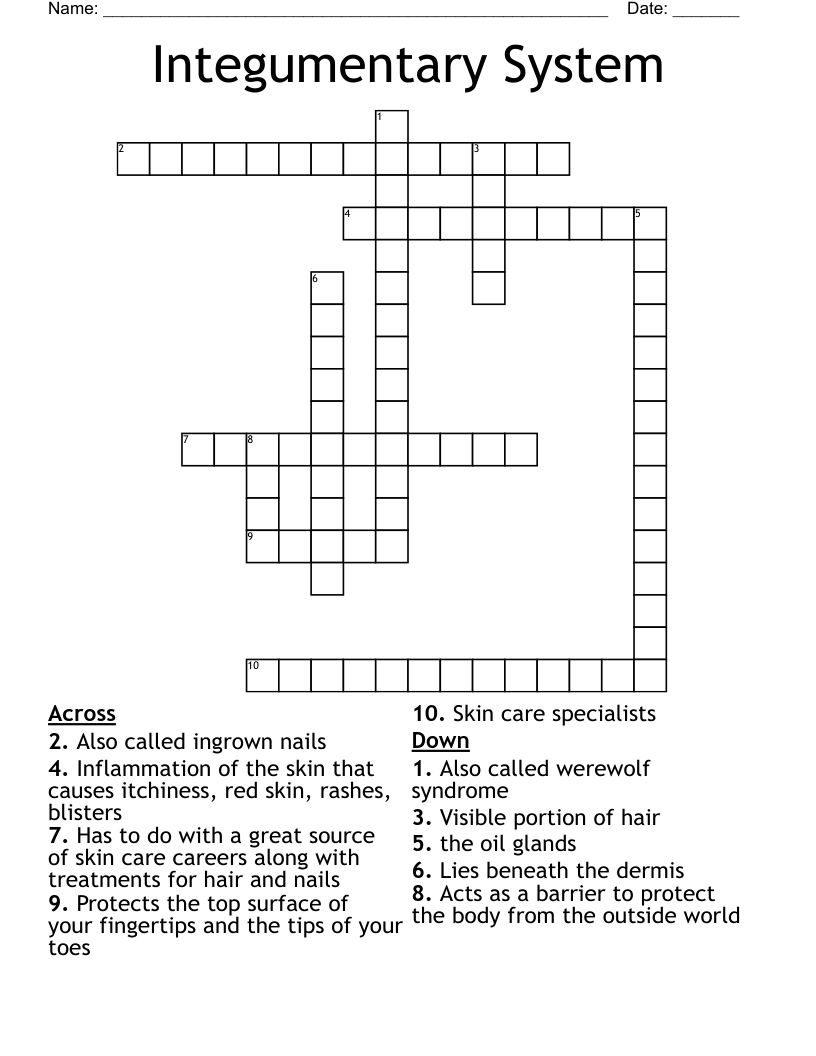 Integumentary System Crossword