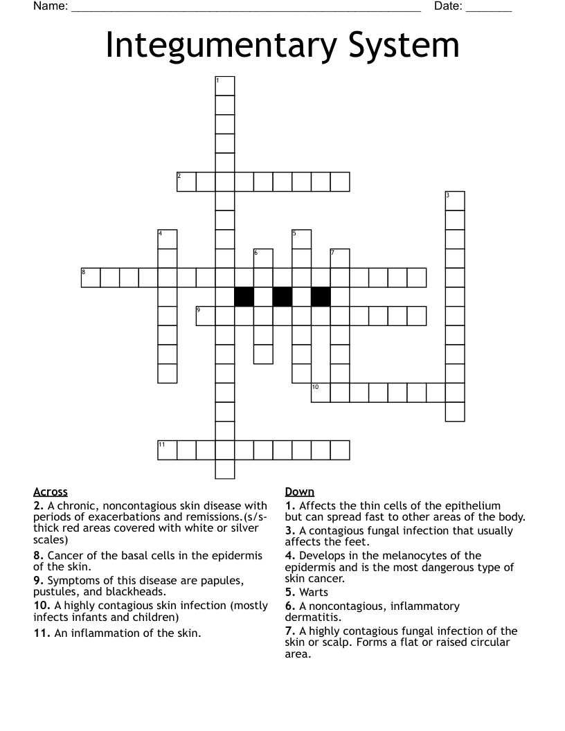 Integumentary System Crossword