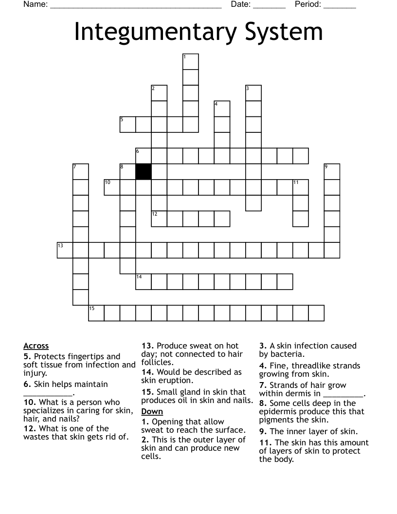 Integumentary System Crossword