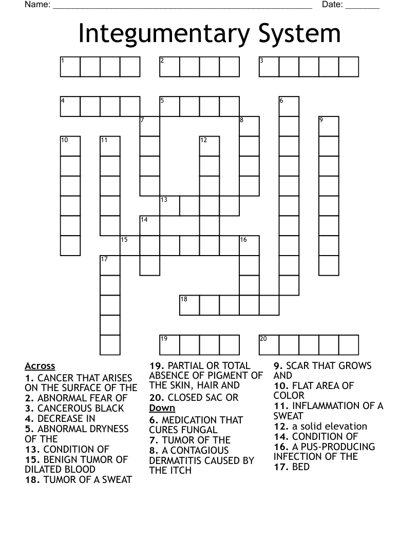 Integumentary System Crossword