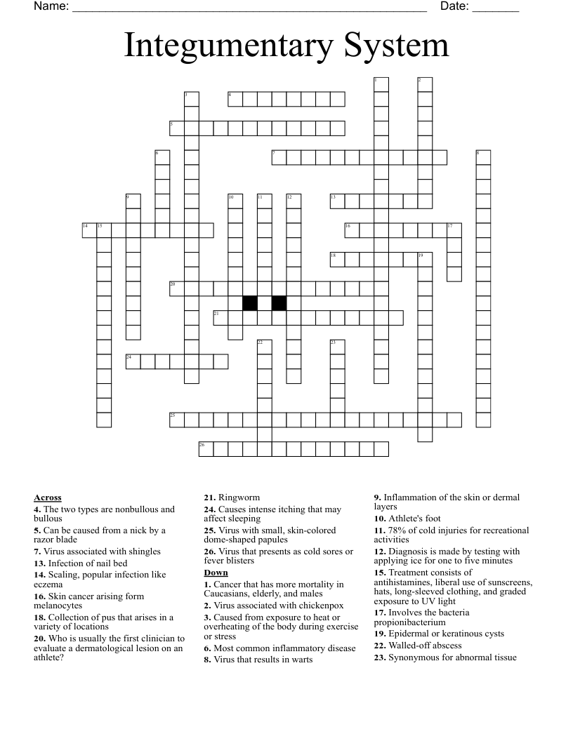 Integumentary System Crossword