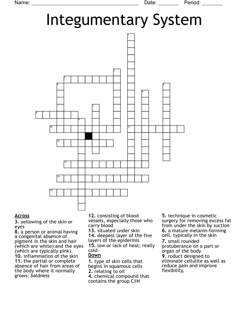 Integumentary System Crossword