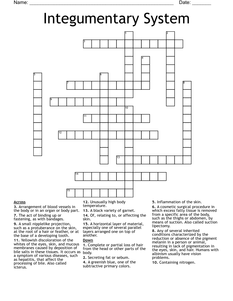 Integumentary System Crossword