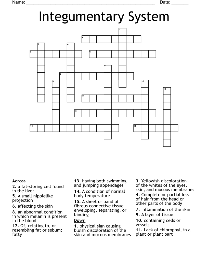 Integumentary System Crossword