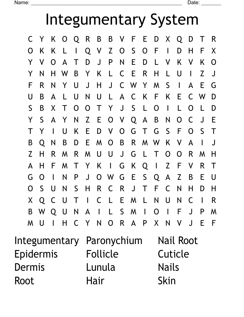 Integumentary System Word Search