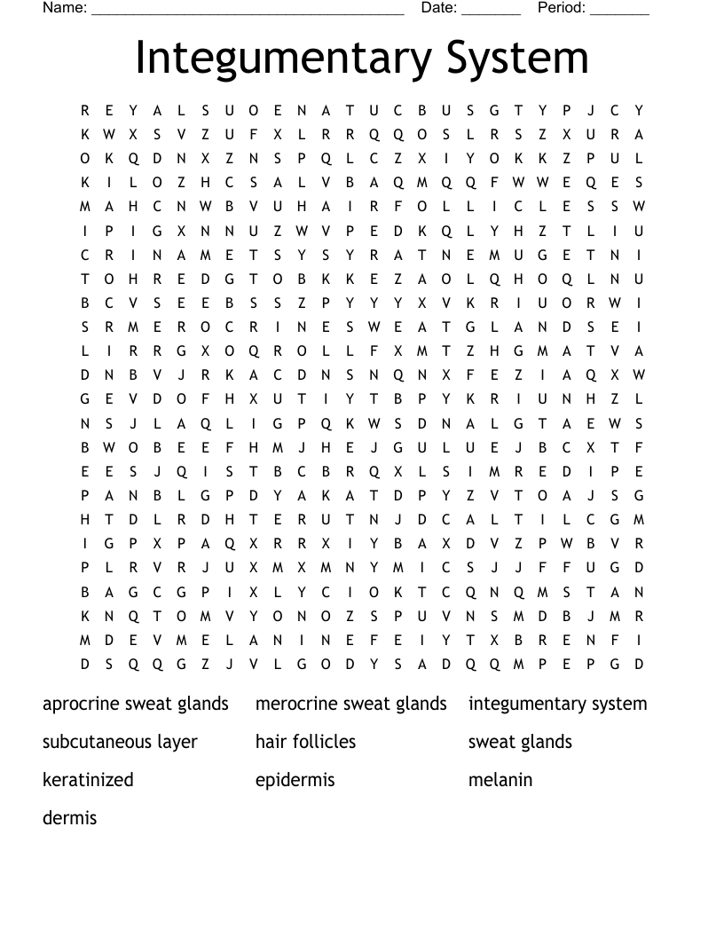 Integumentary System Word Search