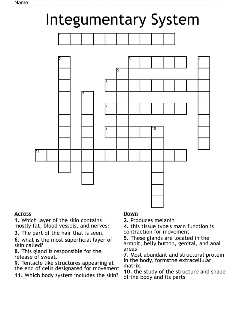 Integumentary System Crossword