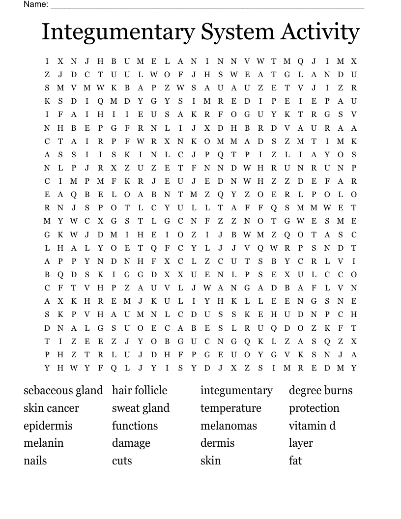 Integumentary System Activity Word Search