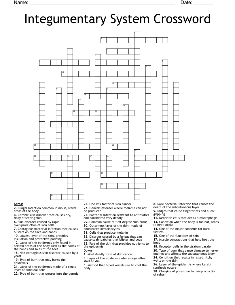 Integumentary System Crossword