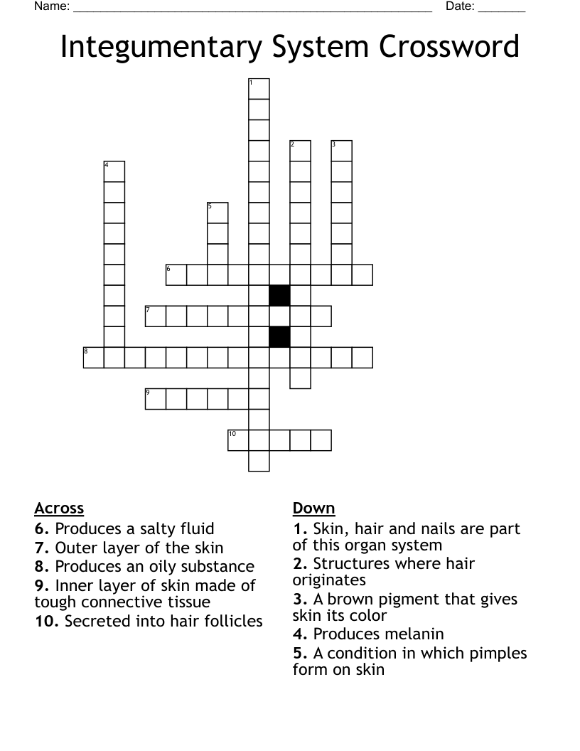 Integumentary System Crossword