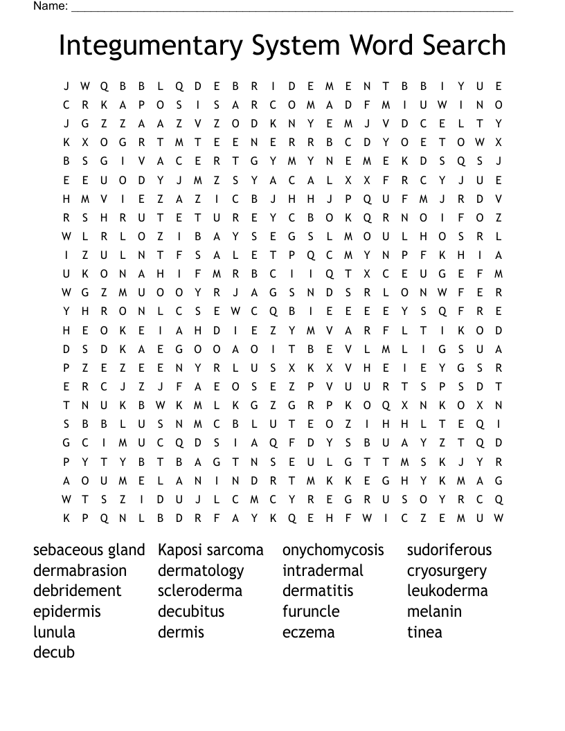 Integumentary System Word Search