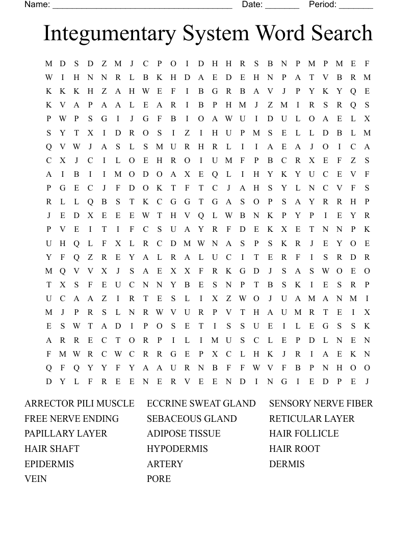 Integumentary System Word Search