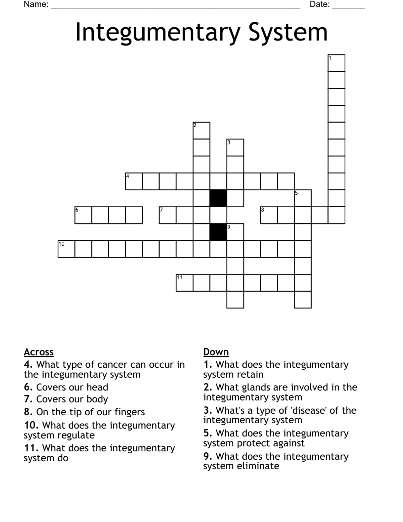 Integumentary System  Crossword