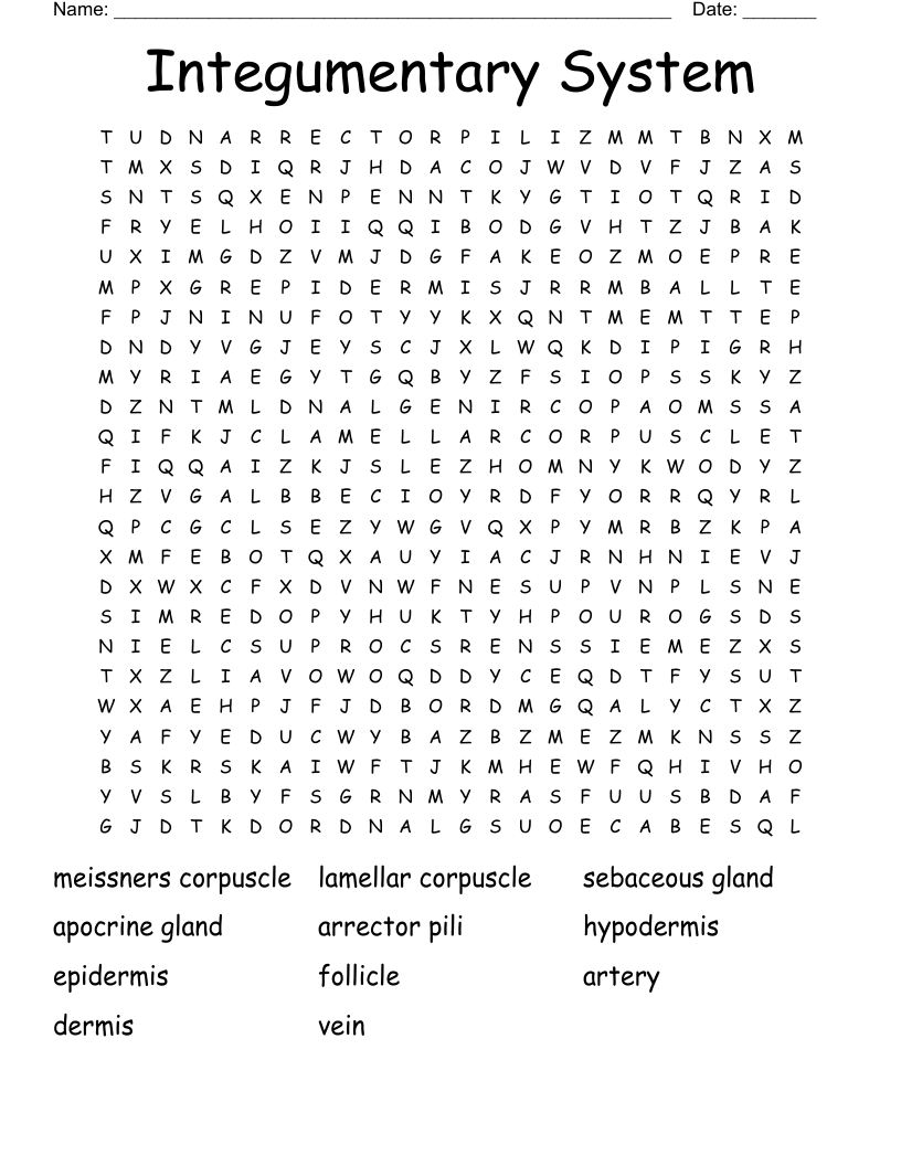 Integumentary System  Word Search