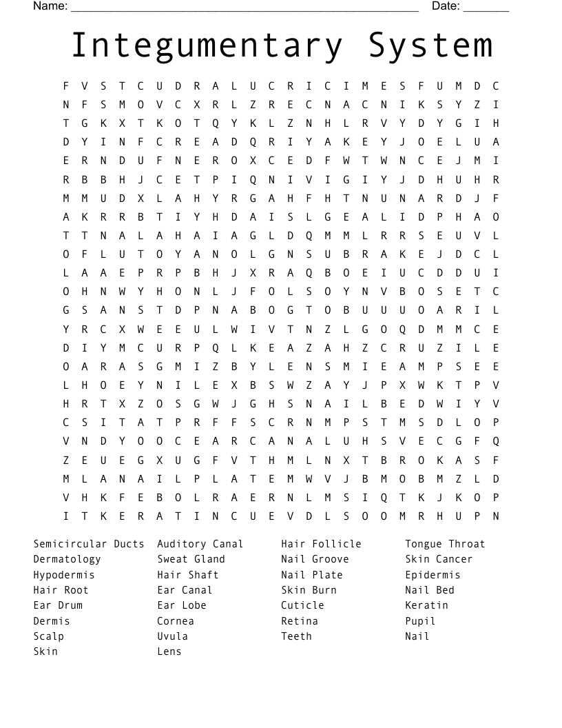 Integumentary System  Word Search