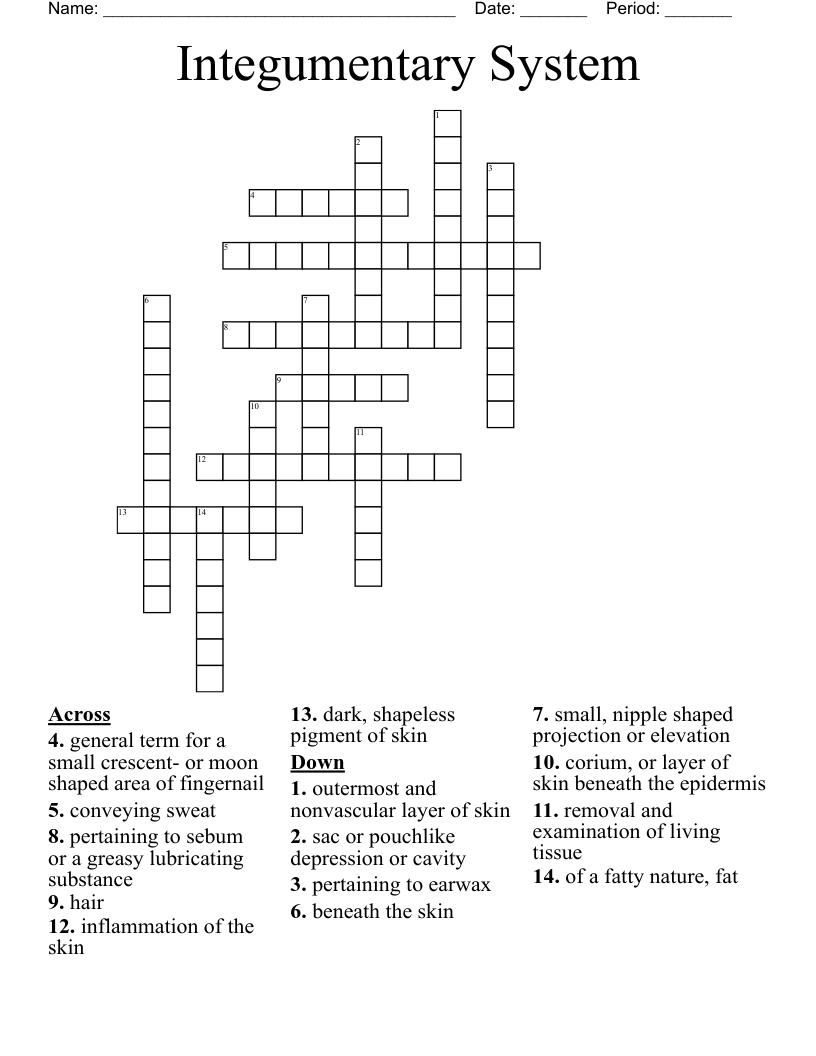 Integumentary System  Crossword