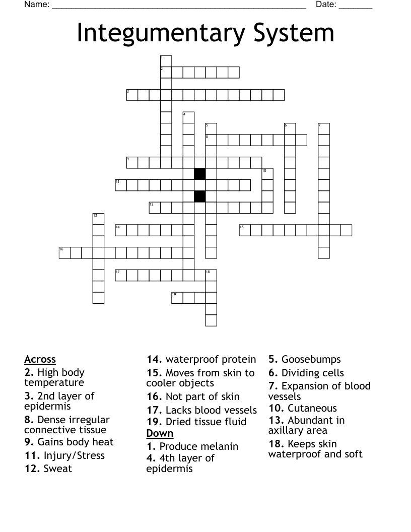 Integumentary System  Crossword