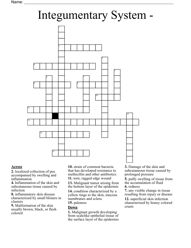 Integumentary System -  Crossword