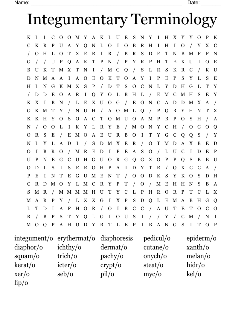 Integumentary Terminology  Word Search