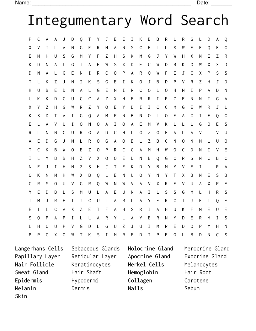 Integumentary Word Search