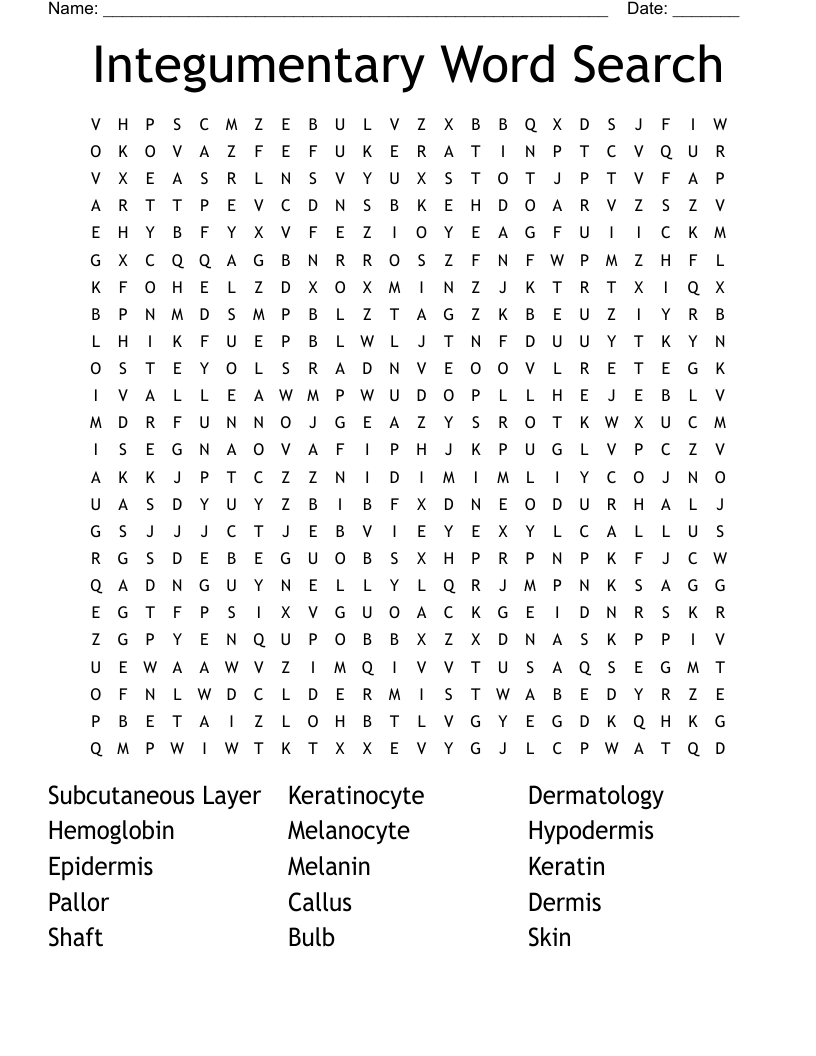 Integumentary Word Search 