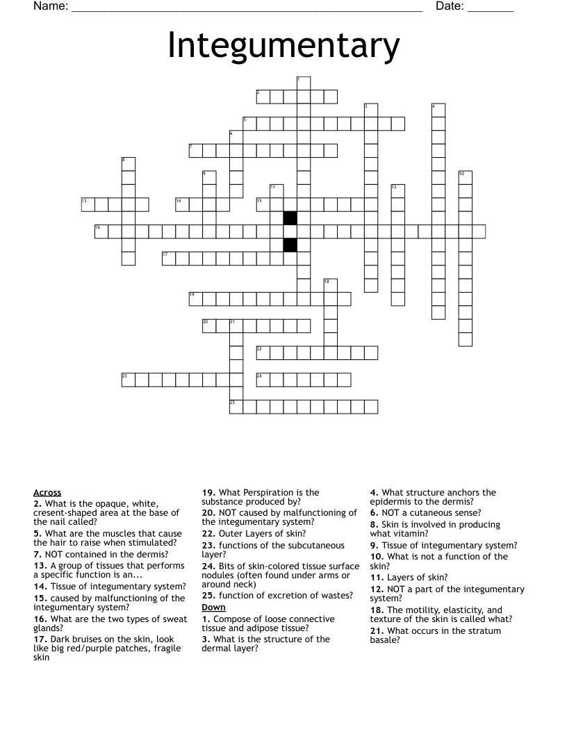 Integumentary  Crossword