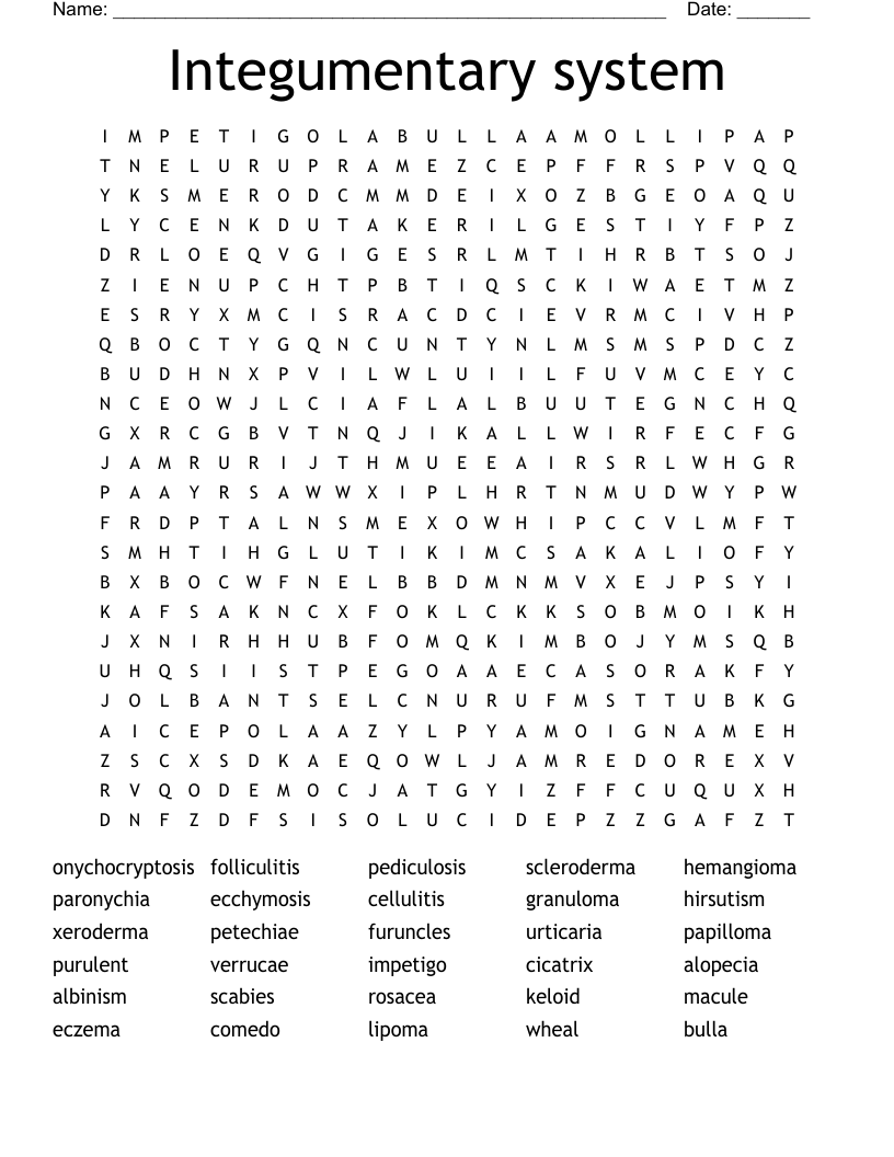 Integumentary system Word Search