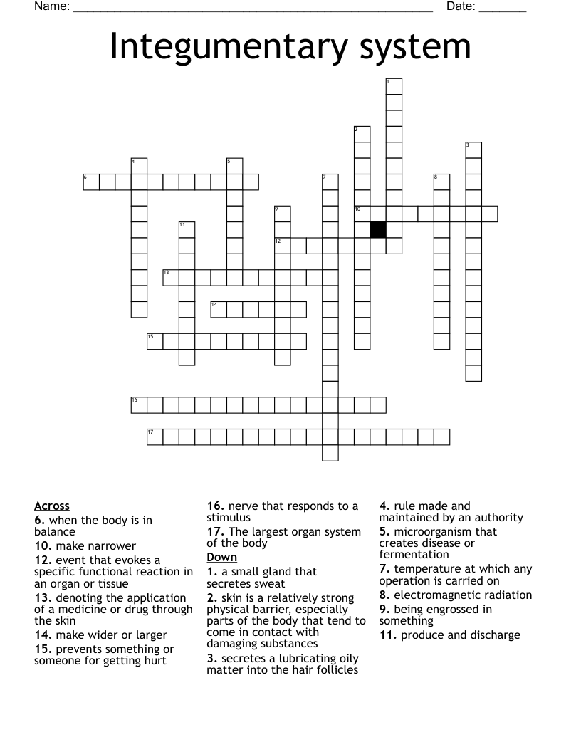 Integumentary system Crossword