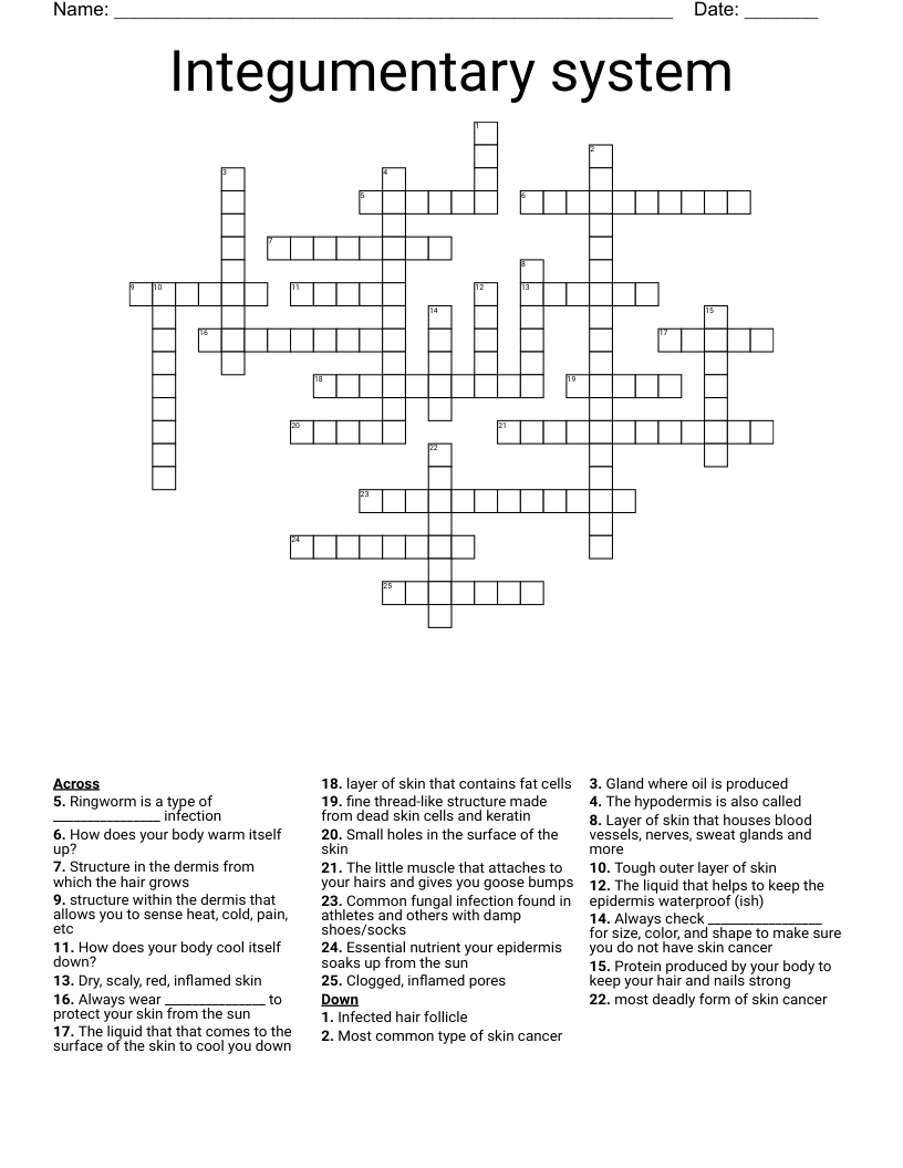 Integumentary system Crossword
