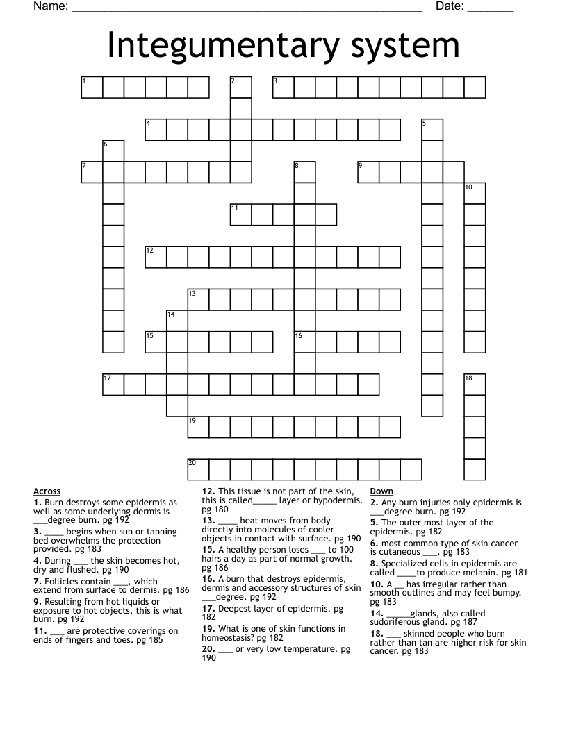 Integumentary system Crossword