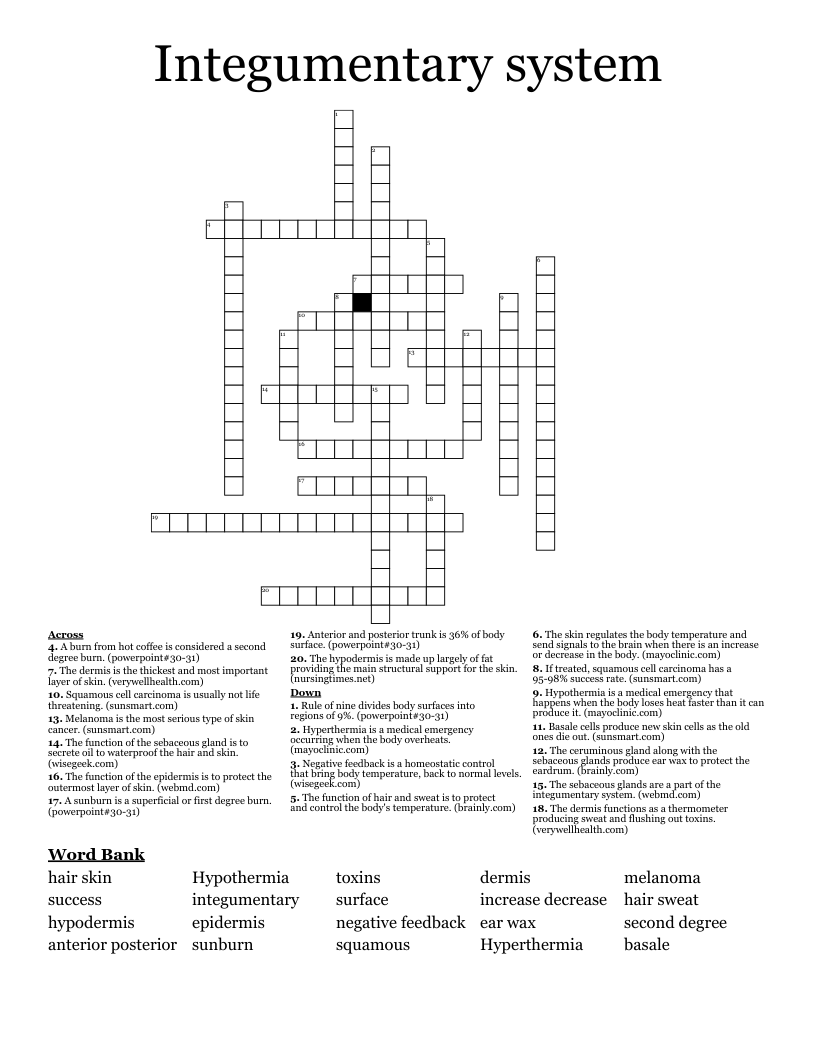 Integumentary system Crossword