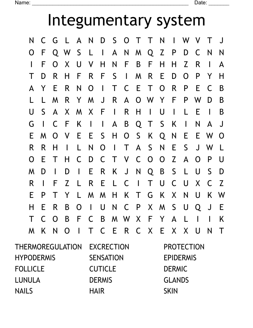 Integumentary system Word Search