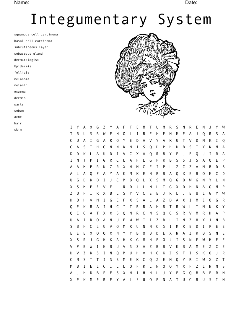 Integumentary System Word Search