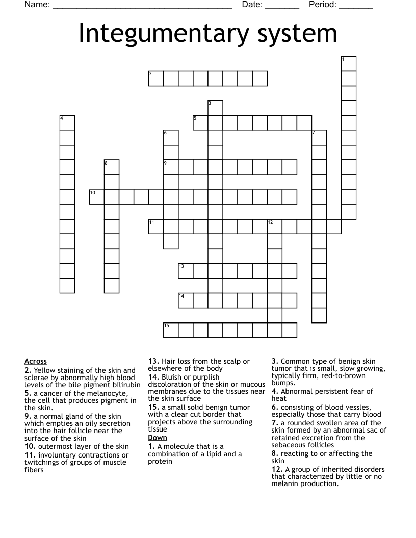 Integumentary system Crossword