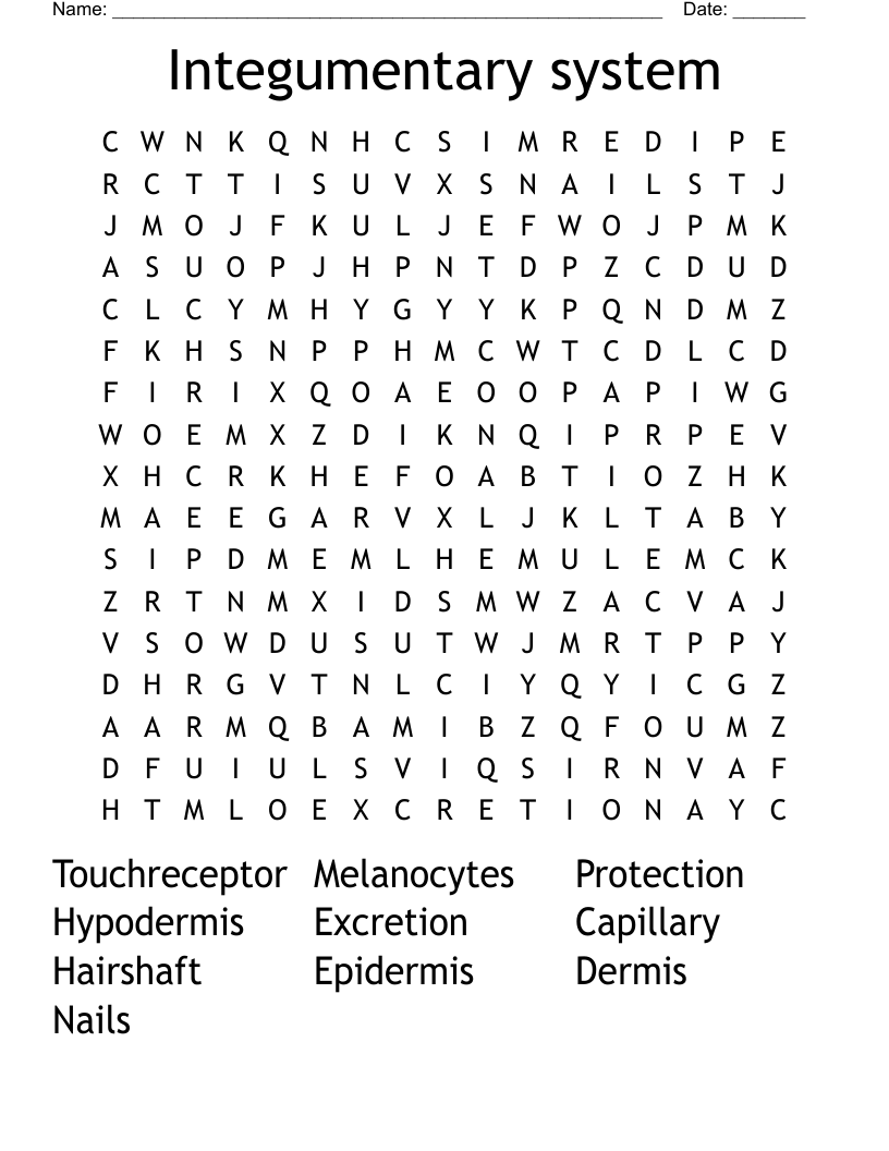 Integumentary system Word Search