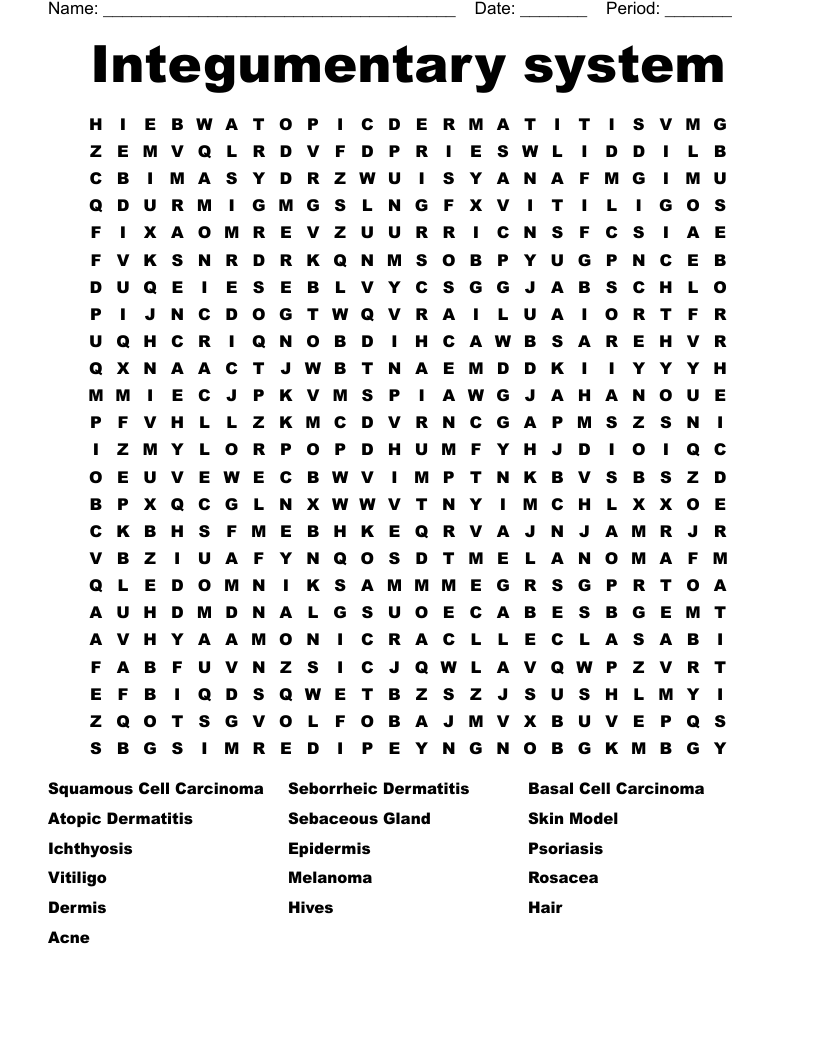 Integumentary system Word Search