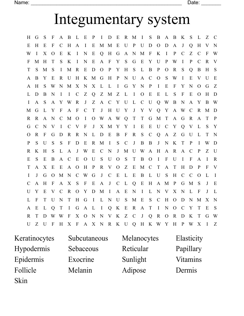 Integumentary system  Word Search