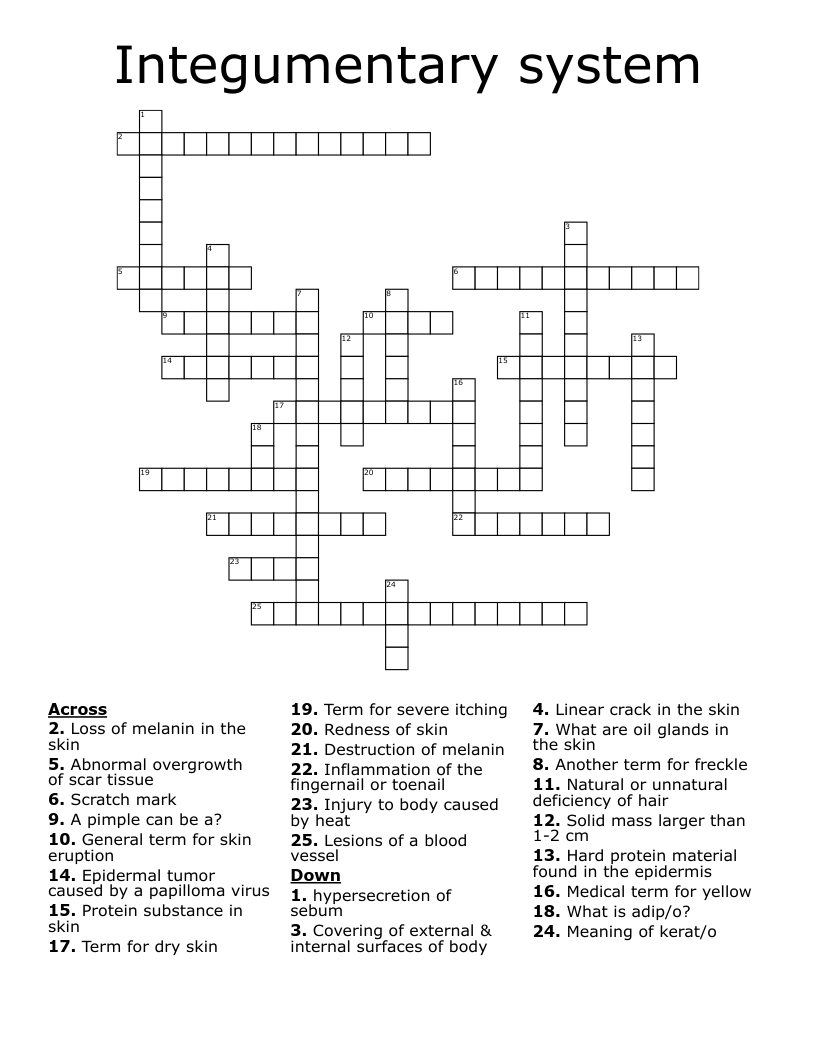 Integumentary system  Crossword