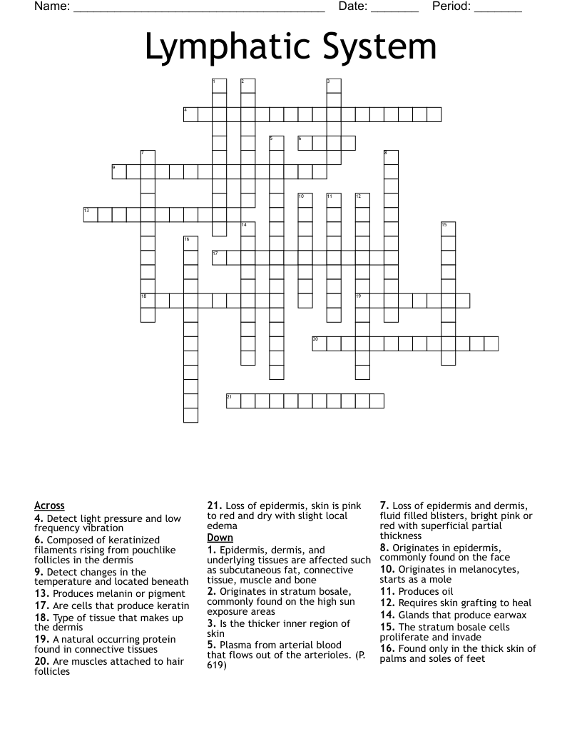 Lymphatic System Crossword