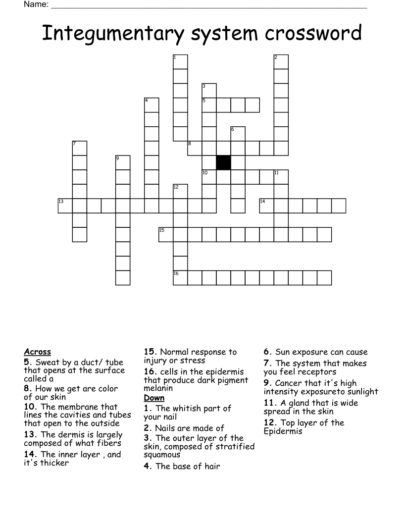 Integumentary system crossword