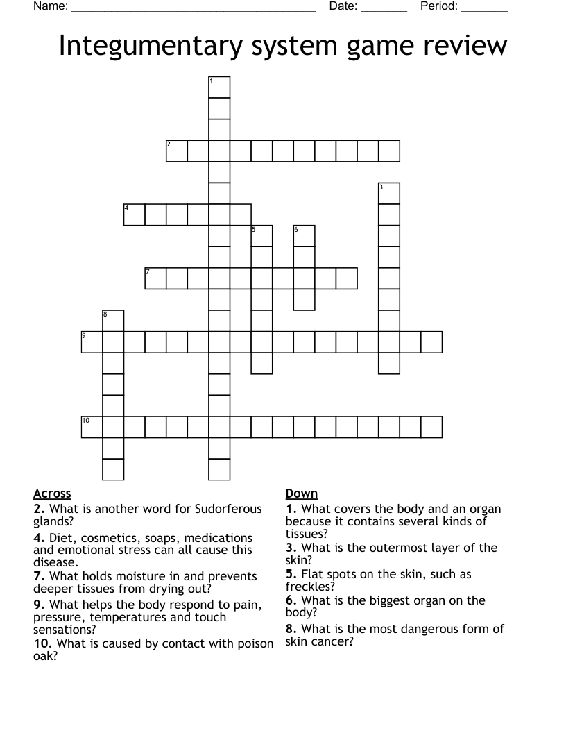 Integumentary system game review Crossword