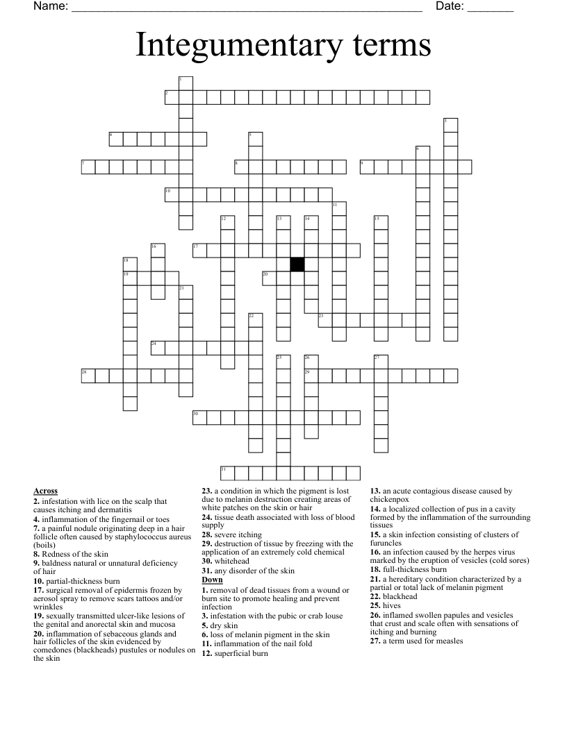 Integumentary terms Crossword