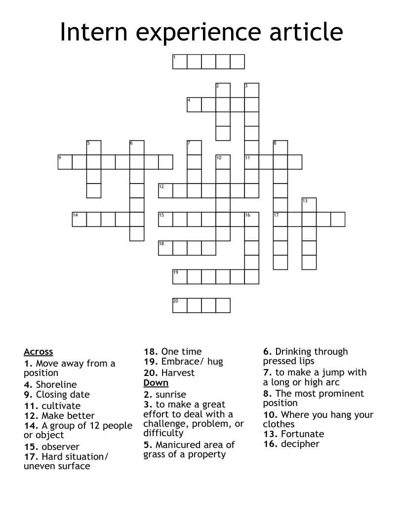 Intern experience article Crossword